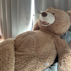 コストコ　テディベアの画像