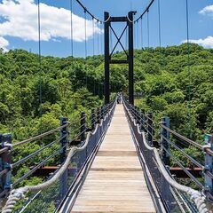 【12月13日(土)】大阪最大の吊り橋!!星のブランコハイ…
