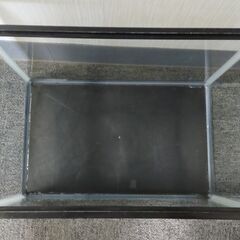 △ ② GEX 水槽 プラスチック製＆淡水/海水両用高性能ポンプ、ルミノ交換ランプセット 40cm 貯水確認済 汚れありの画像