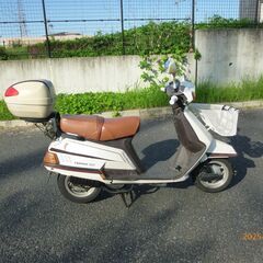 堺区　シグナス125  50V  キャブ車の画像