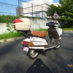 堺区　シグナス125  50V  キャブ車の画像