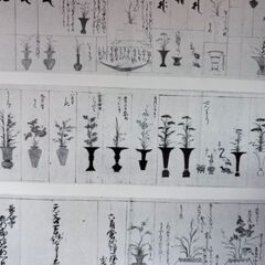 花生　徳川美術館, 根津美術館 編の画像