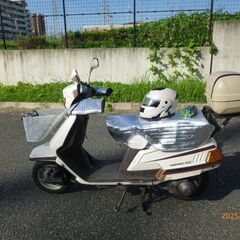 堺区　シグナス125  50V  キャブ車の画像