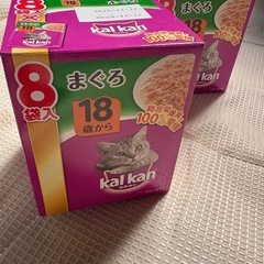 猫　マナーウェア　エサ　その他の画像