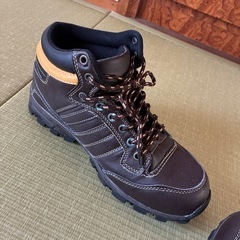 24.5㌢スニーカーの画像