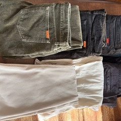 秋冬レディースウエア&パンツの画像