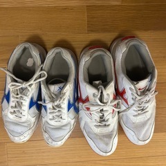 学ランセット　　１６５Ａの画像