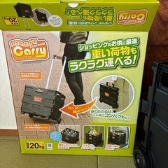 コンテナキャリー決まりました！の画像