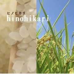 2025🌾ヒノヒカリ🌾玄米30キロ🌾