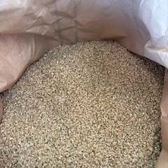 2025🌾ヒノヒカリ🌾玄米30キロ🌾の画像