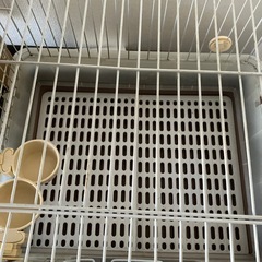 ペットゲージセット　小動物の画像