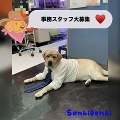 電気工事士を目指す未経験者　大募集★の画像