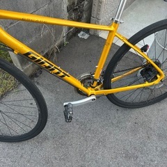 GIANT  クロスバイク
の画像