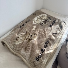 毛布　140㎝×200㎝の画像
