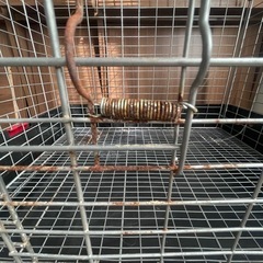 サンコー　イージーホーム60　小動物ケージの画像