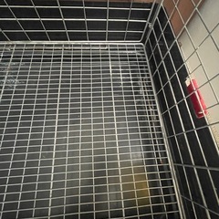 サンコー　イージーホーム60　小動物ケージの画像