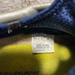 アシックス　ターサーの画像