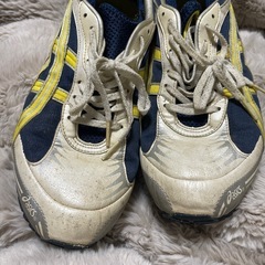 アシックス　ターサーの画像