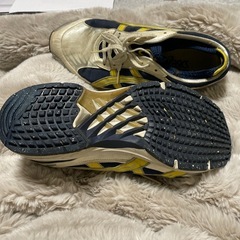 アシックス　ターサーの画像