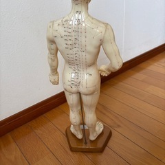 経穴人形の画像