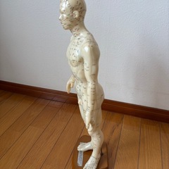 経穴人形の画像