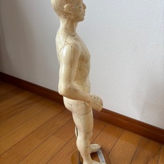 経穴人形の画像