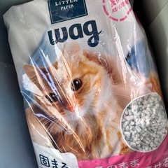 猫ちゃんゲージ11/19まで の画像