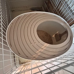 猫ちゃんゲージ11/19まで の画像