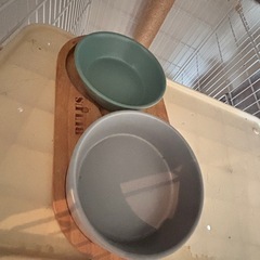 猫ちゃんゲージ11/19まで の画像