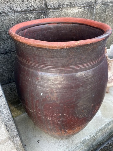 ⑤ 
水瓶　瓶　メダカ　水草　雨受け　古民家　