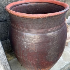 ⑤ 
水瓶　瓶　メダカ　水草　雨受け　古民家　の画像