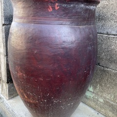 ⑤ 
水瓶　瓶　メダカ　水草　雨受け　古民家　の画像