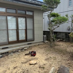 庭木の伐採いたします。 - 地元のお店