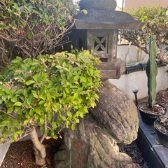 灯篭　灯籠　燈篭　②中の画像