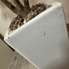 フェイクグリーン  観葉植物 の画像