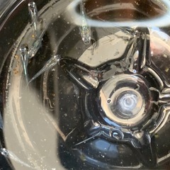 【メダカ屋のんの】メガレックウザ稚魚1匹の画像