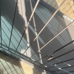 無料！！犬用ケージ！綺麗ですですの画像