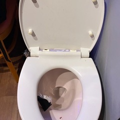 toto トイレセットの画像