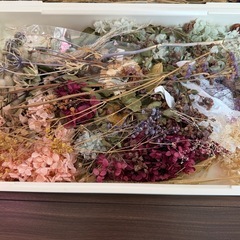 ドライフラワー　紫陽花等色々の画像