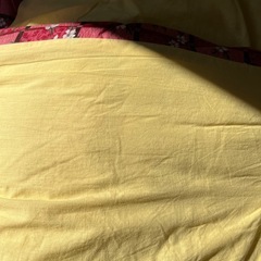 コタツ？　敷布団　の画像