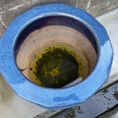 ⑥　火鉢　鉢カバー　鉢　植木鉢　陶器　古民家　
の画像