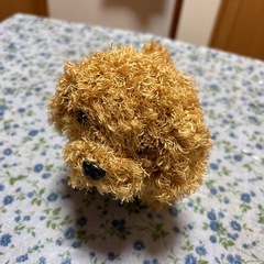 しまじろうパペットと起き上がりこぼし？の画像