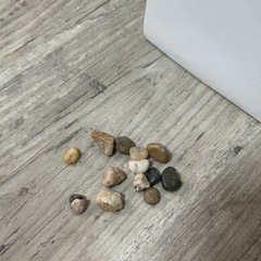 フェイクグリーン  観葉植物 の画像