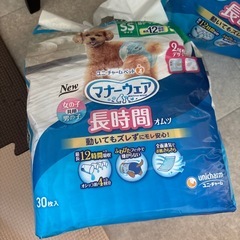 犬猫用 オムツ 訳ありの画像