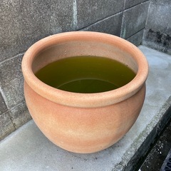 素焼き　植木鉢　鉢カバー　の画像