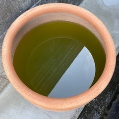 素焼き　植木鉢　鉢カバー　の画像