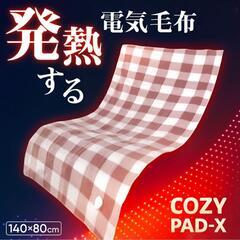 電気毛布❣️140×80cm 電気掛け敷き毛布 洗える ブランケット 10段調節の画像