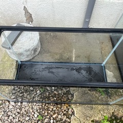 GEX 60cmすいそう水槽の画像