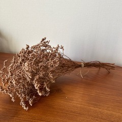 ドライフラワーの画像