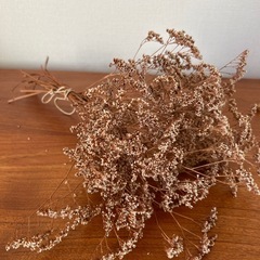 ドライフラワーの画像